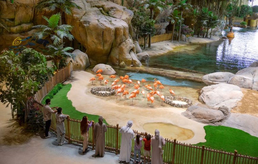 SeaWorld Abu Dhabi