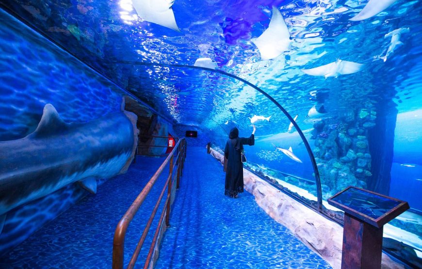 Underwater World Dubai Mall + Penguin